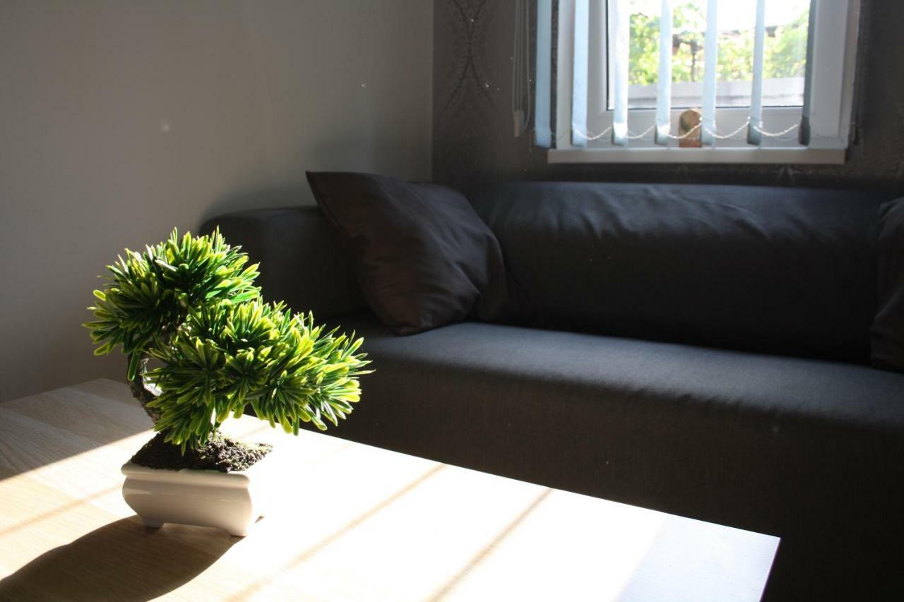 Apartmany City *